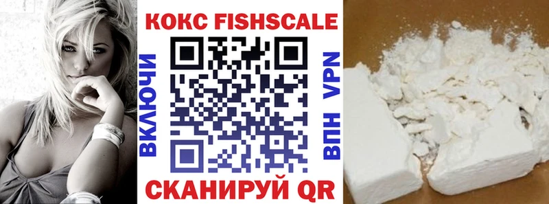 Купить закладки  Верхняя Салда  Cocaine FishScale 