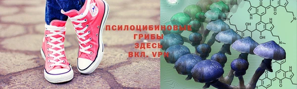 ALPHA PVP Карталы
